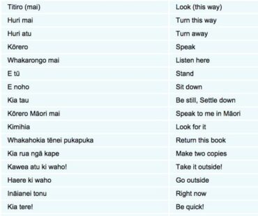 mÄori language phrases